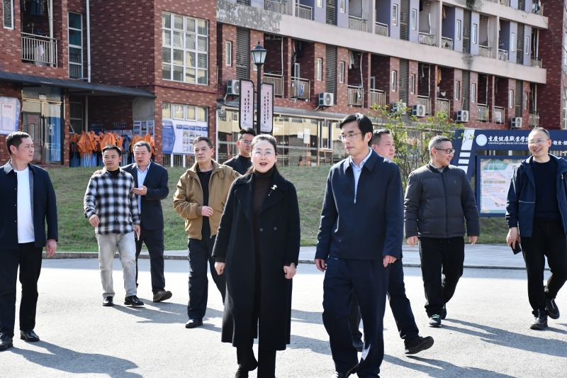 hnVC_1773233558259079181.jpg DSC_7042(1).jpg