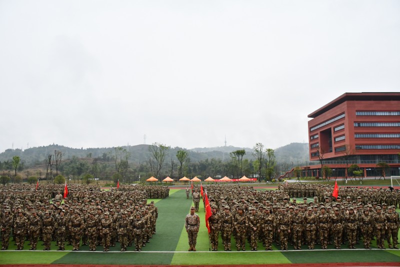 RMpg_1773729180623005359.jpg DSC_7310.jpg