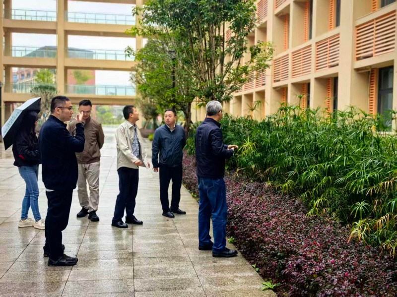 sBEF_1793346651326049298.jpg 图片 2.jpg